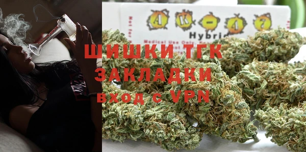 мдпв Дмитриев